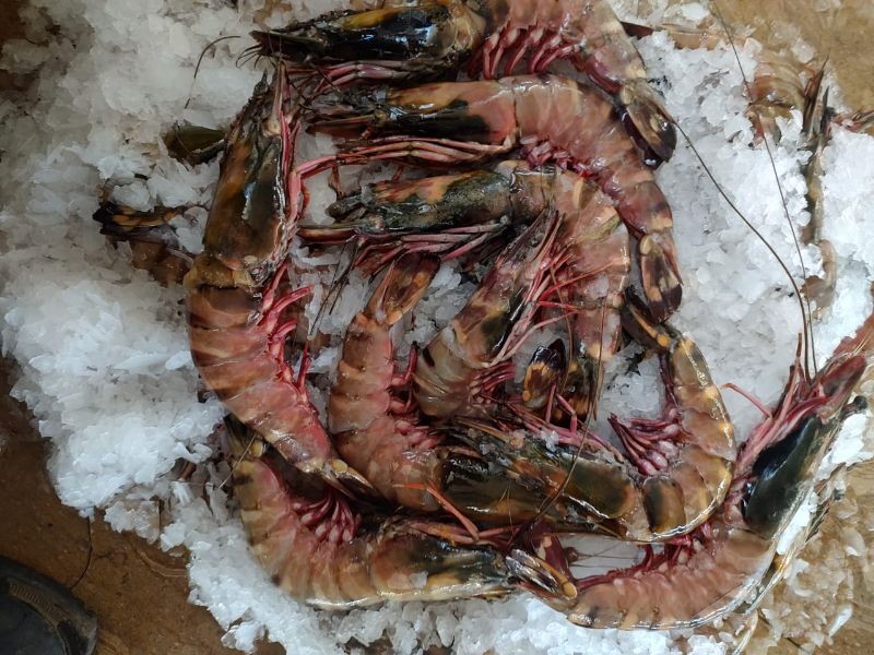 Tiger Prawns (10-12 Whole Prawns)