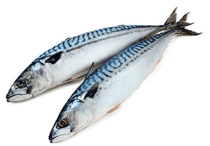 King Fish (Surmai)