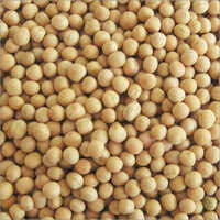 Super Choice Vatana White 500gm