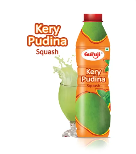 Guruji Kery Pudina 750ml