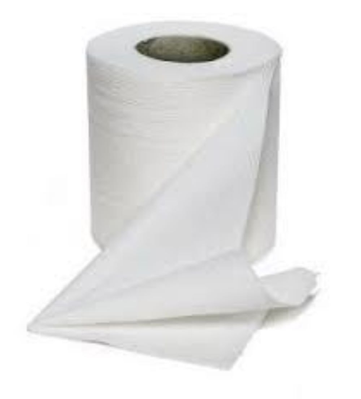 Toilet Roll Platina 100 mtrs