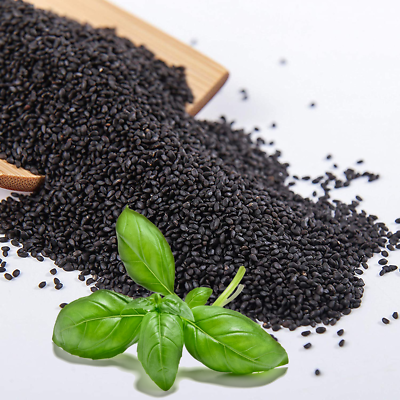 Mega Choice Sabja Seed 100g