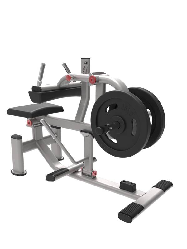 SEATED
CALF