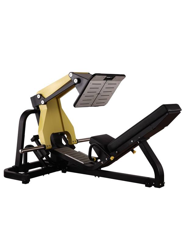 LEG PRESS