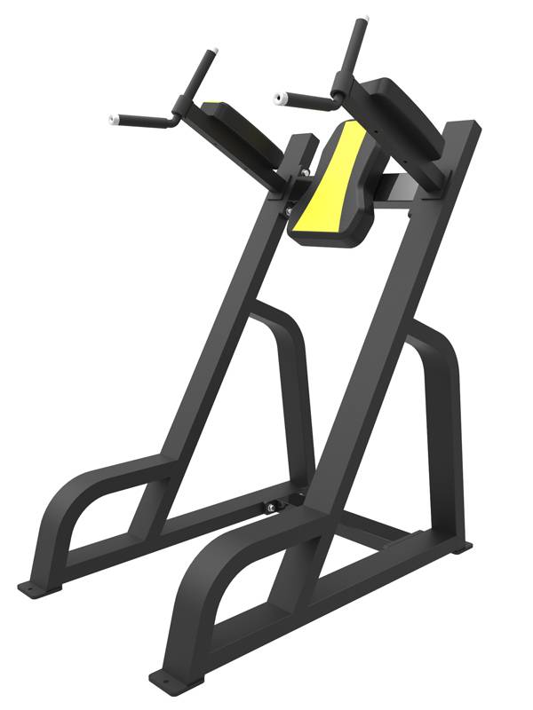 VERTICAL KNEES UP/DIP(BLACK
WITH B2 CUSION)