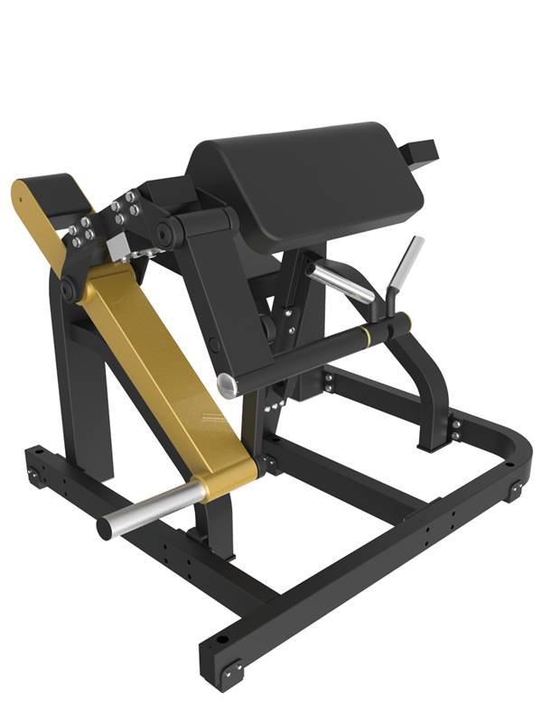 BICEPS CURL ( PLATE LOAD )