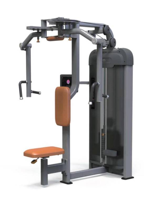 REAR DELT/PEC FLY