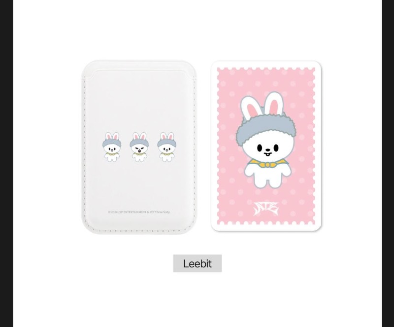 Magnetic Card Wallet - ATE