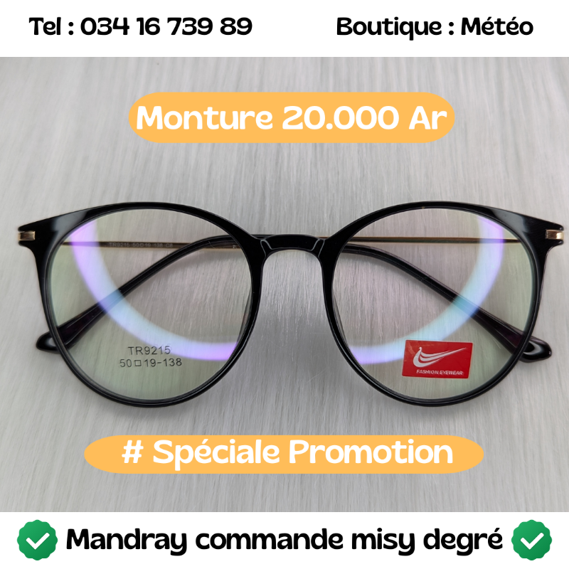 Monture Promo 106