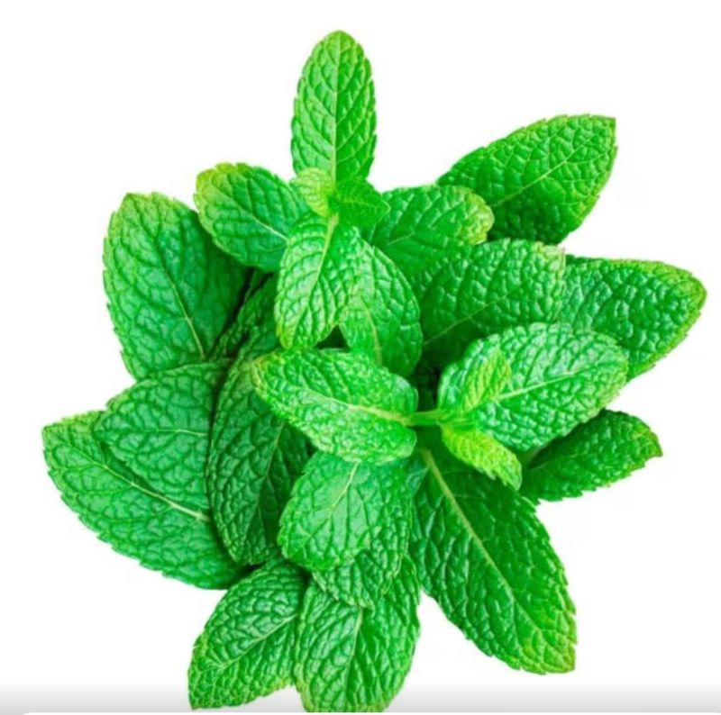 Mint leaf