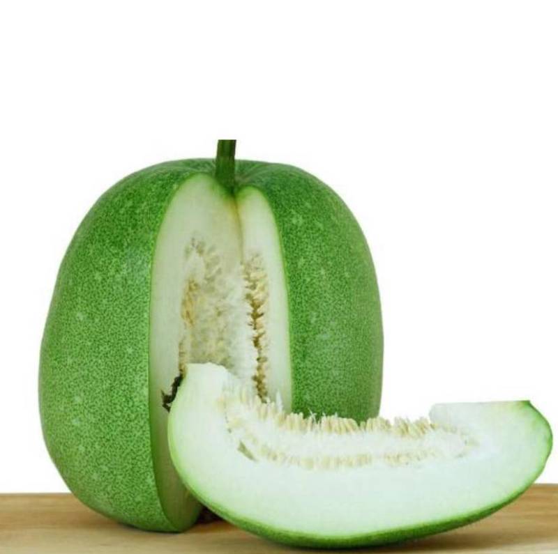 ASH GOURD