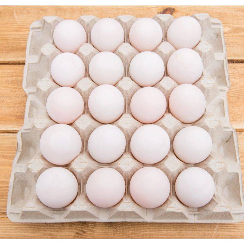 Duck Eggs Large  6 piece