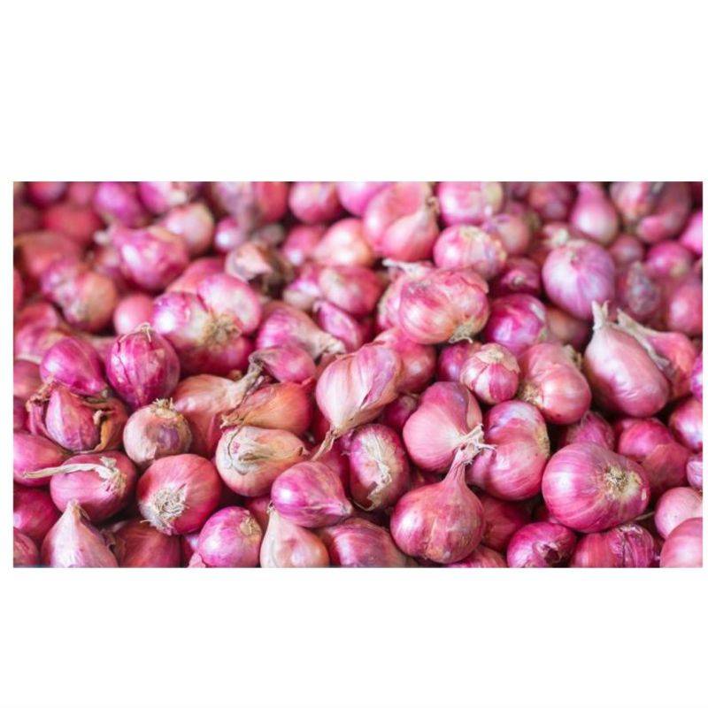 SHALLOT  250gm