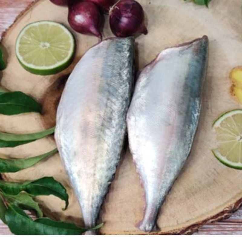 INDIAN MACKEREL