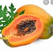 Pappaya