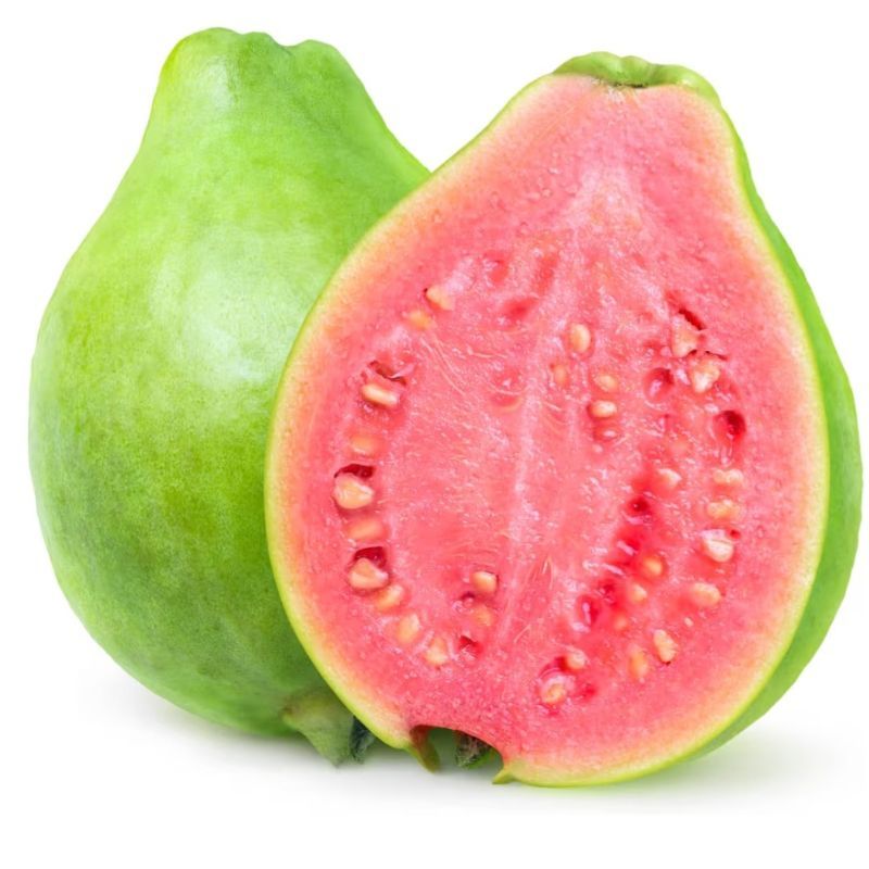 Guava India
