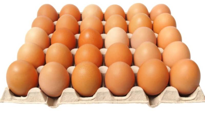 CHICKEN EGGS MEDIUM  30 pic