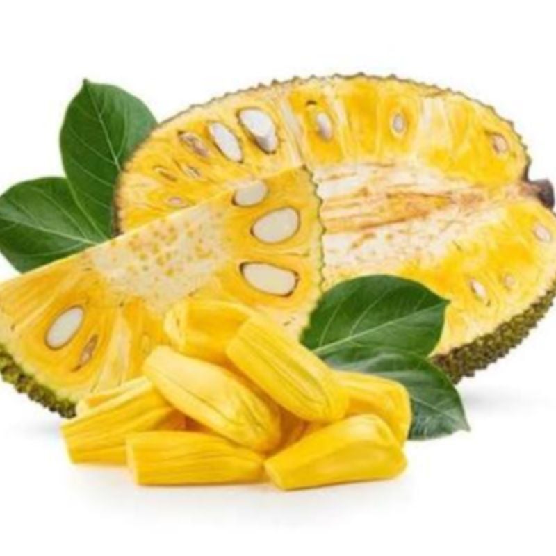 RIPE JACKFRUIT (  വരിക്ക ചക്കപ്പഴം)