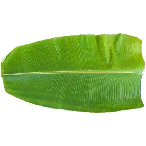 Fresh Banana Leaf Each £.99
