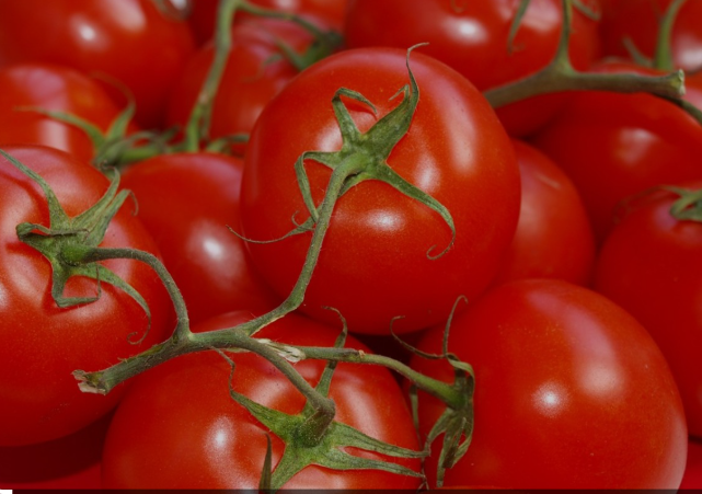 Tomato