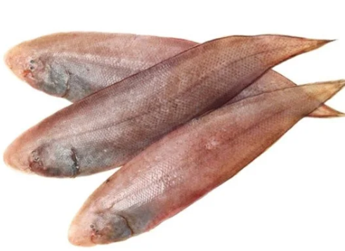 Sole Fish Cleaned