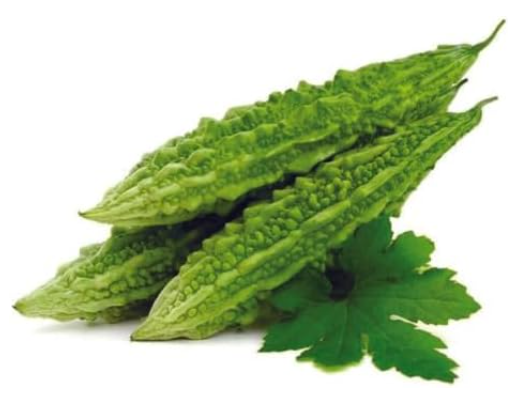 Karela / Bitter Gourd