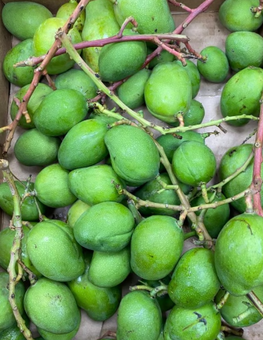 Green Mango