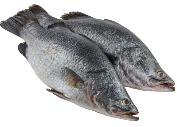 Barramundi Cleaned