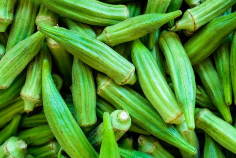 Okra / Ladies Finger