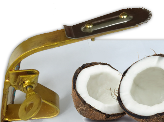 Coconut Scrapper