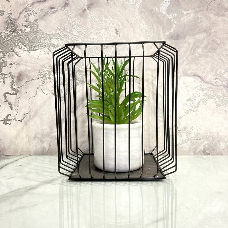 (TPM-240) Square Bonzai Cage Large