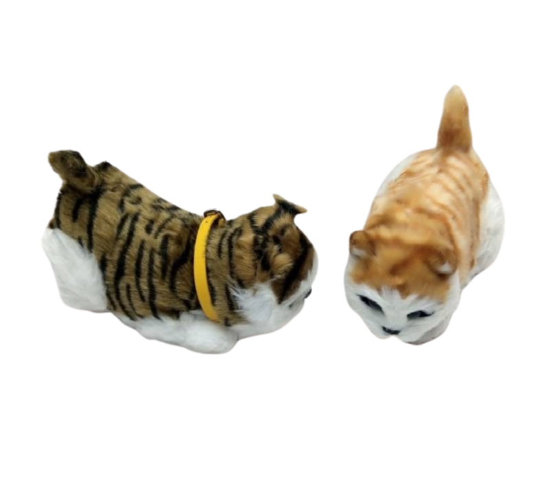 (Ks-6-9024) Stuff Cat