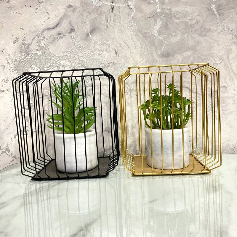 (TPM-240) Square Bonzai Cage Large