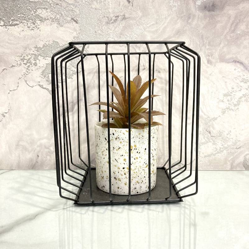 (TPM-239) Square Bonzai Cage Small