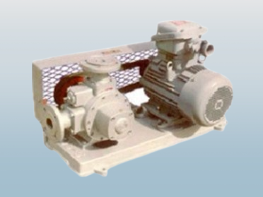 ZYQ15-5 direct-connected liquefied petroleum gas pump