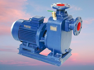 BZ self-priming pump