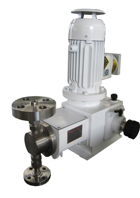 Vertical plunger metering pump