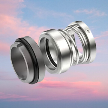 Mechanical Seal of DFW200-315(I)/4/30