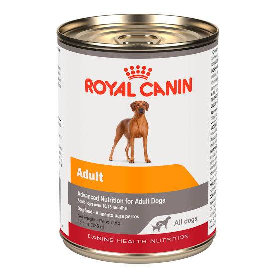 Royal Canin Adulto