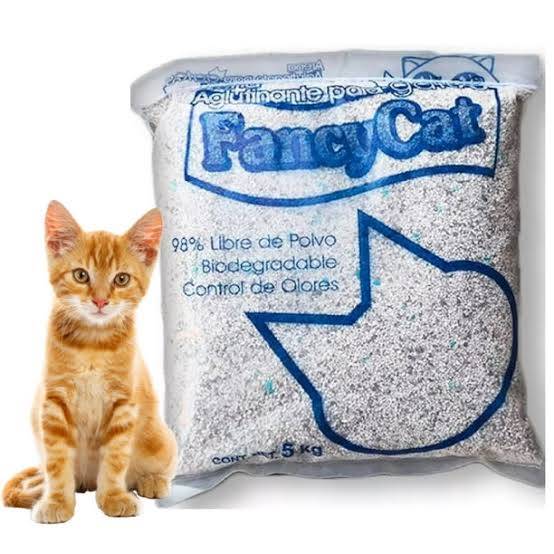 Arena para Gato Fancy Cat