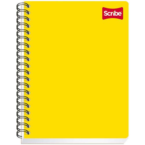 Cuaderno Profesional de Cuadro Chico Scribe