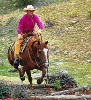 Open Rider