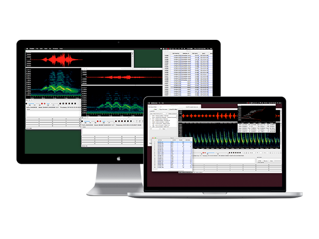 Kaledioscope Licencia PRO