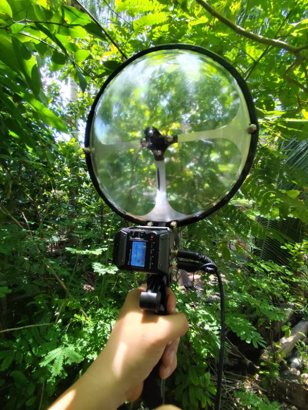 Micrófono parabólico MOB