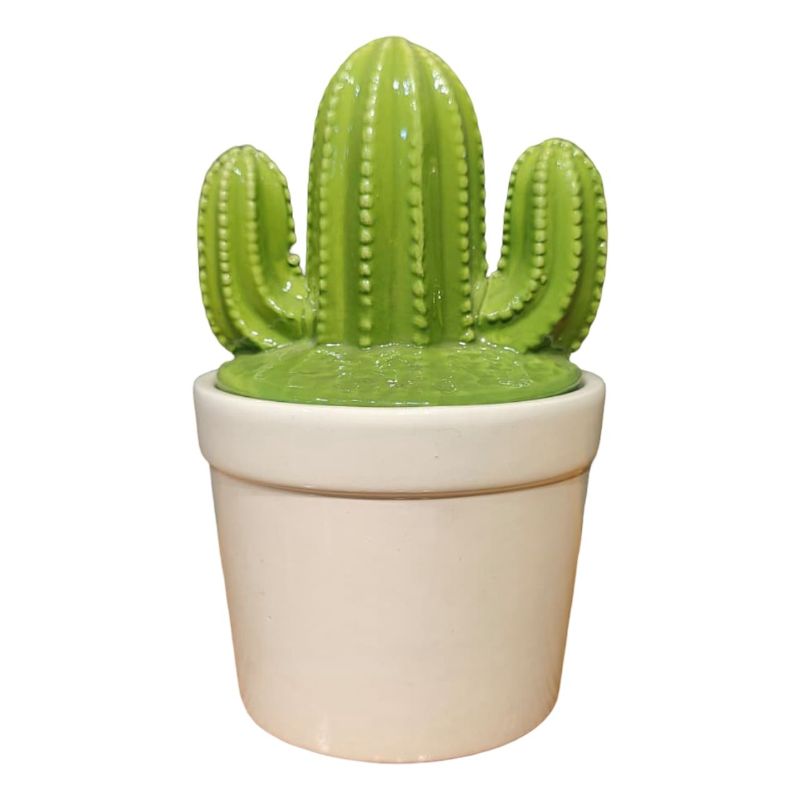 (TPM-857) Ceramic Cactus NC