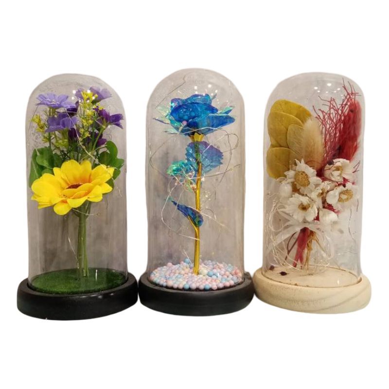 (TPM-524) Bell Jar Size-M
