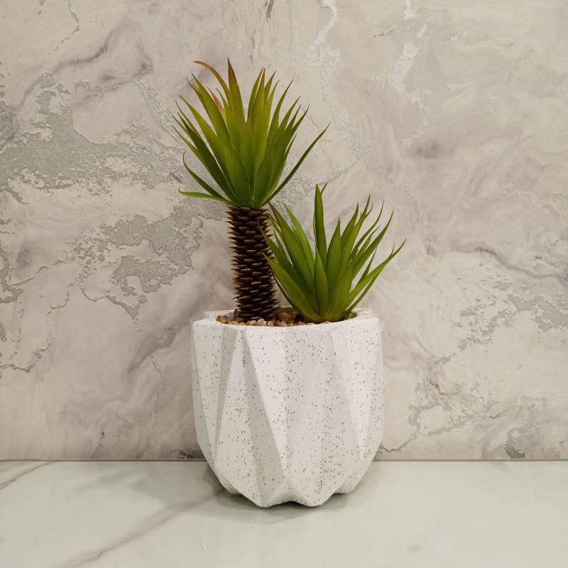 (TPM-573) Hexagone Base Pot Bonzai