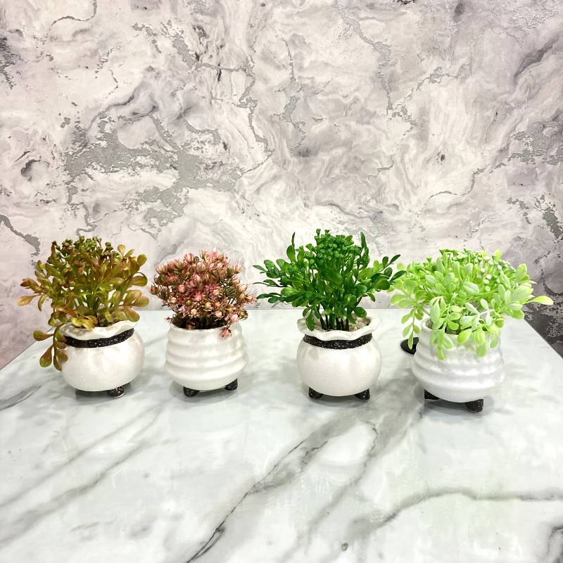 (TPM-320) Pot Bonzai