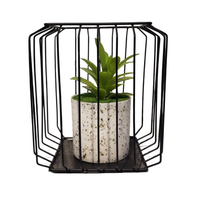 (TPM-239) Square Bonzai Cage Small