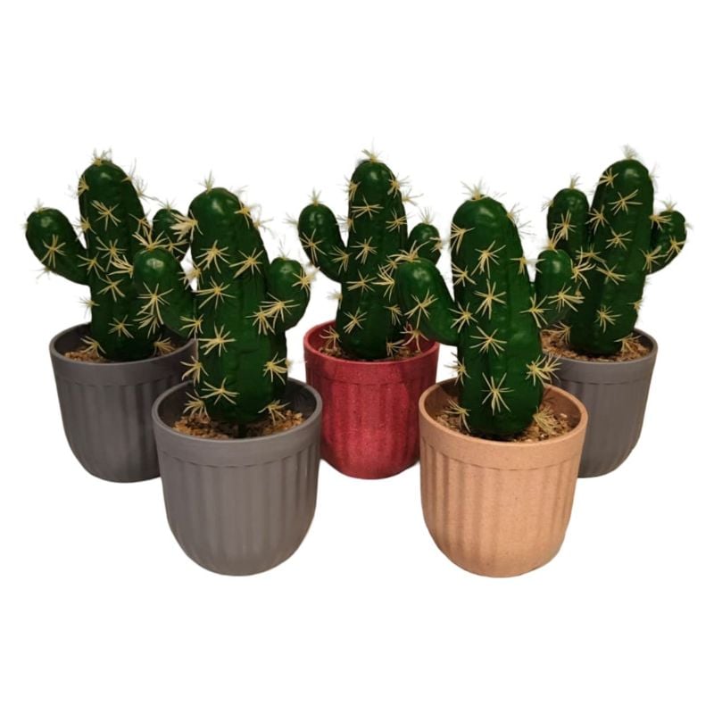 (TPM-1276) Green Cactus Pot